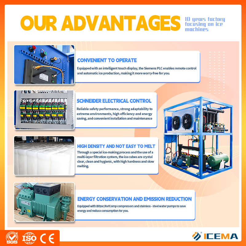 ICEMA Industrial PLC Big Ice B - Food Storage For Long Term ulasan dan harga