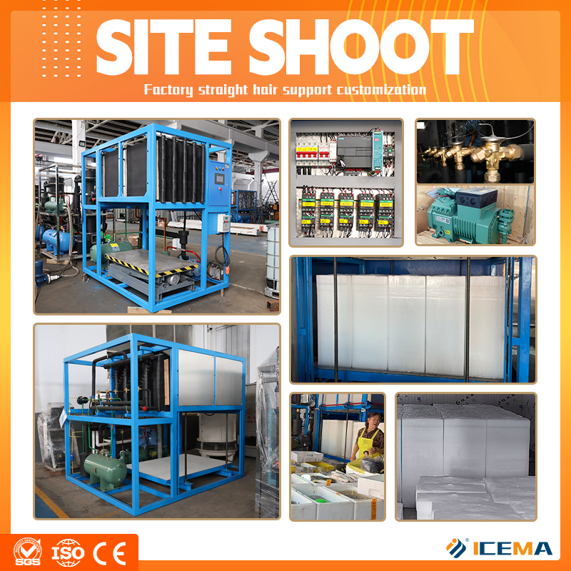 ICEMA Industrial PLC Big Ice B - Food Storage For Long Term ulasan dan harga