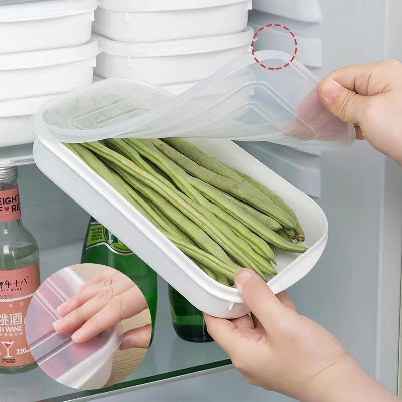 2PCS Food Vegetable Storage Co - Food Storage Containers Plastic Box ulasan dan harga