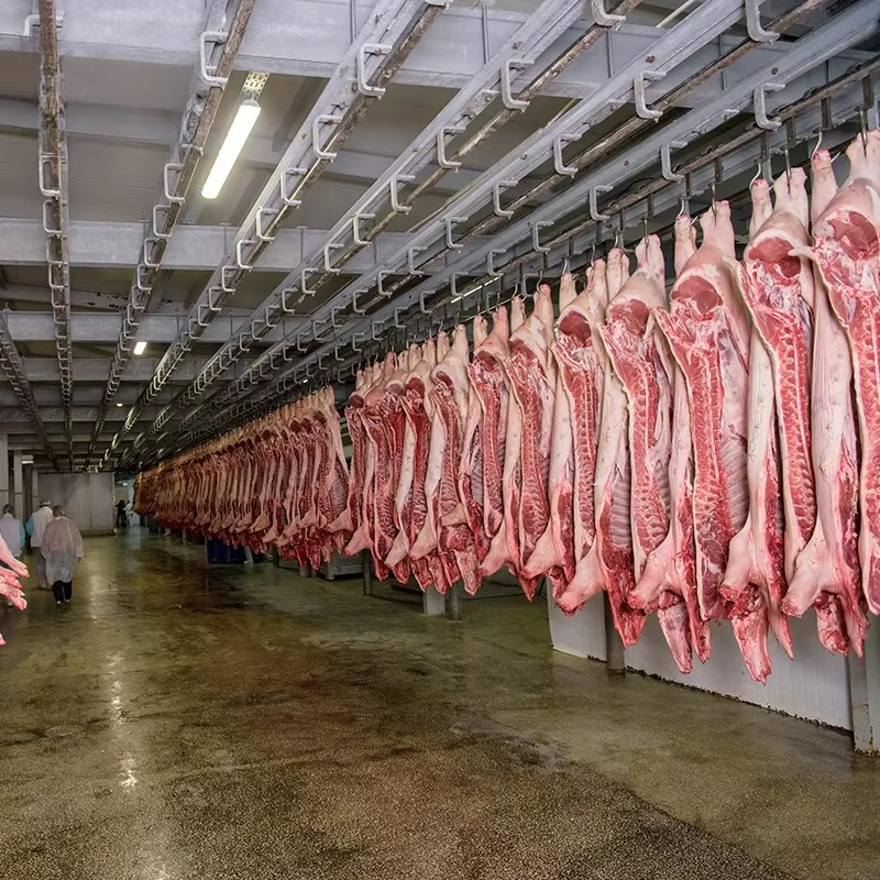 Cold Storage Room Slaughter Ho - Food Storage Freezer ulasan dan harga