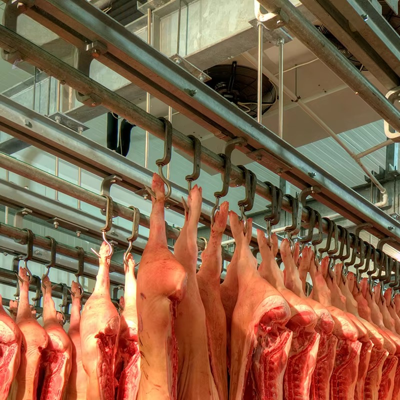 Cold Storage Room Slaughter Ho - Food Storage Freezer ulasan dan harga