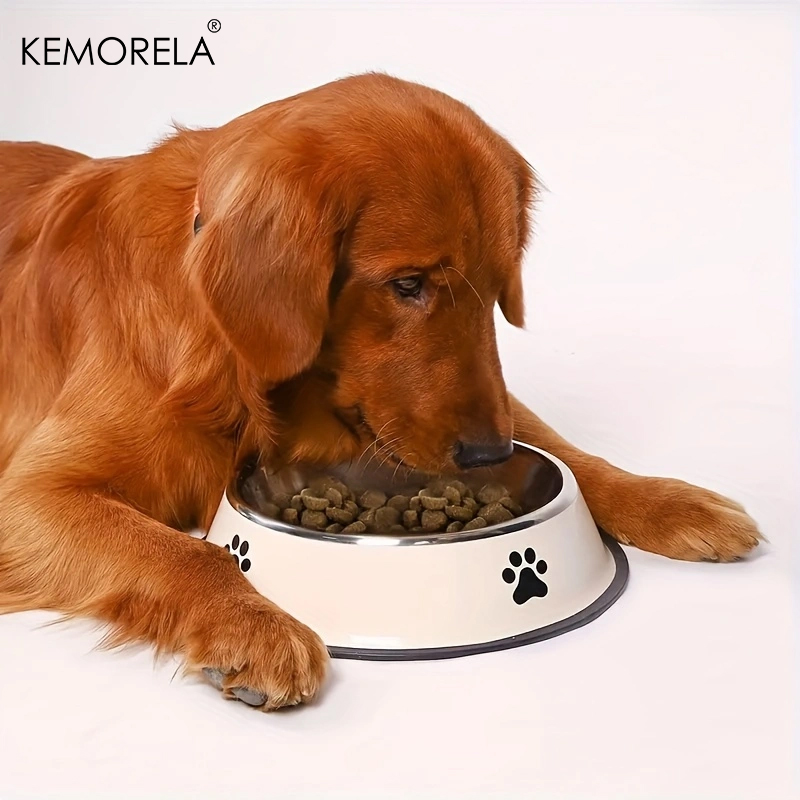 Stainless Steel Pet Dog Bowl F - Food Storage Box Large ulasan dan harga
