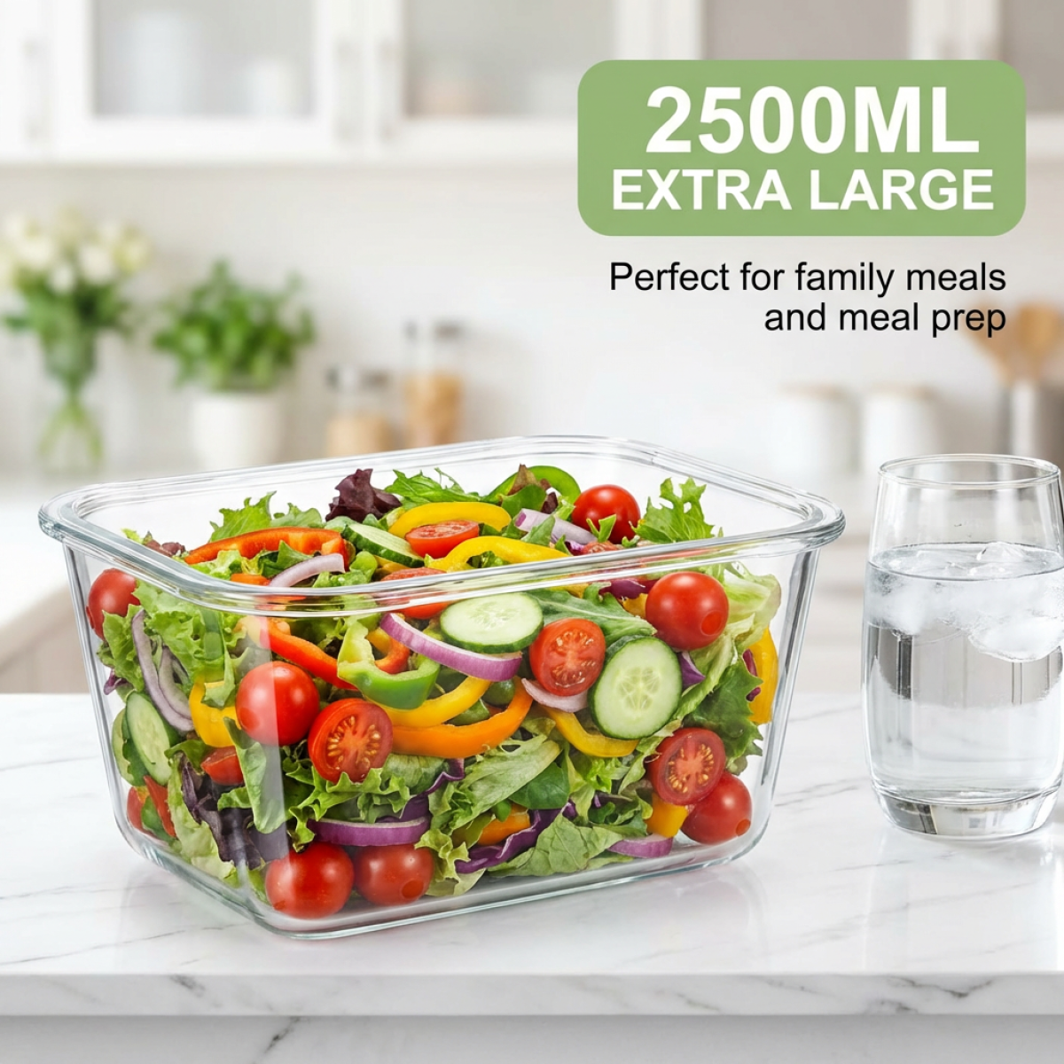 Large Capacity Borosilicate Gl - Food Storage Box Large ulasan dan harga
